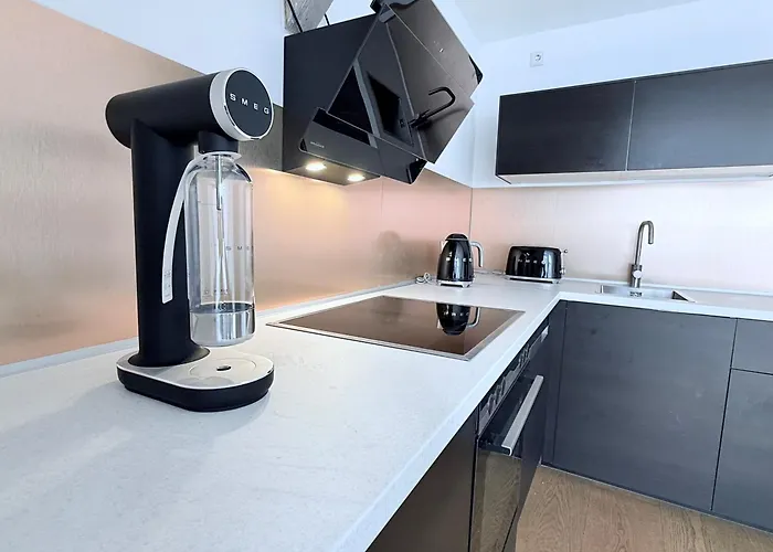 Lejlighed Designaparts - I - Penthouse Mit Dachterrasse